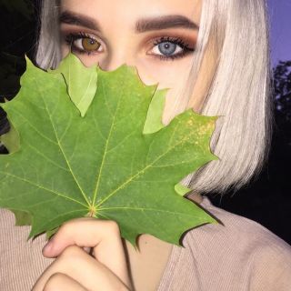 Cinsiyette çeşitlilik